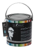 Polychromie Le Corbusier
